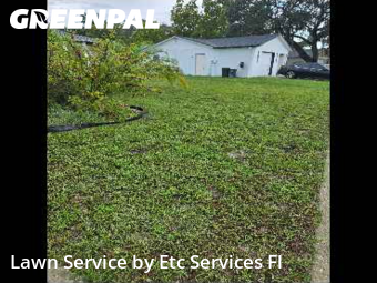 Yard Mowing in Bayonet Point, 34668, Lawn Mowing by Etc Services Fl, work completed in Nov , 2025