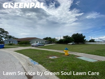 Lawn Service nearby Tampa, FL, 