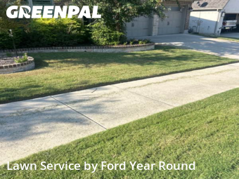 Grass Cut nearby Fort Worth, TX, 