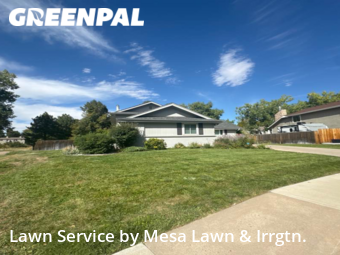 Yard Mowing nearby Centennial, CO, 