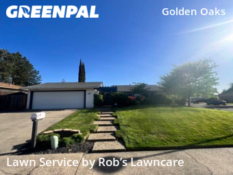 Grass Cut nearby Citrus Heights, CA, 