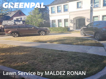 Lawn mowed in Dallas, 75205
