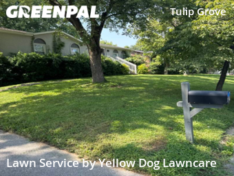 Lawn Mowing nearby Nashville, TN, 