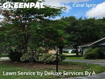 Lawn Cut nearby Coral Springs, FL, 