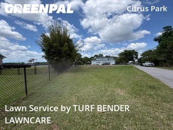 Lawn mowed in Westchase, 33626