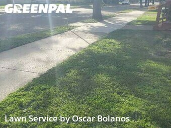 Grass Cutting nearby Binghamton, NY, 