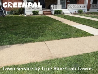 Lawn Mowing nearby Essex, MD, 