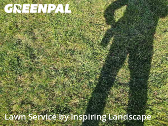 Yard Cutting nearby Centennial, CO, 