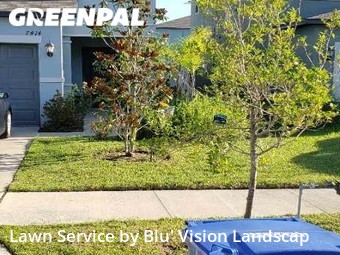 Lawn Cut nearby Tampa, FL, 