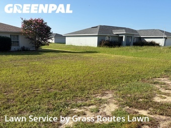 Grass Cut nearby Ocala, FL, 