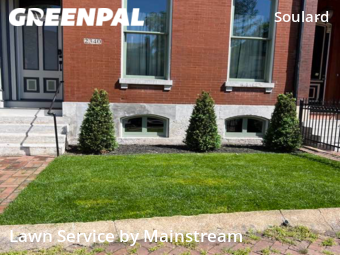 Grass Cutting nearby St. Louis, MO, 