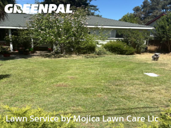 Work completed by affordable-grass-cutting-businesses-in-Citrus Heights-CA