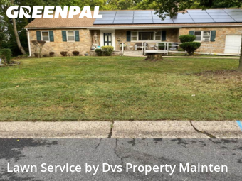 Grass Cutting nearby New Castle, DE, 