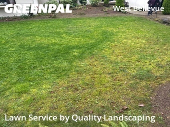 Landscaping Renovation In Bellevue,98004,Landscape Design by Quality Landscaping, work completed in Apr , 2026
