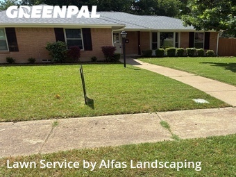 Lawn Cutin Richardson,75080,Lawn Mowing by Alfas Landscaping, work completed in Jun , 2026