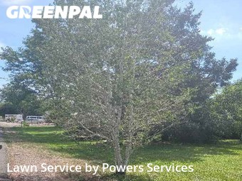 Grass Cutting in Wheat Ridge, 80033, Lawn Mowing by Powers Services, work completed in Oct , 2025