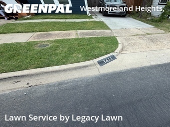 Lawn Mowing Service nearby Dallas, TX, 