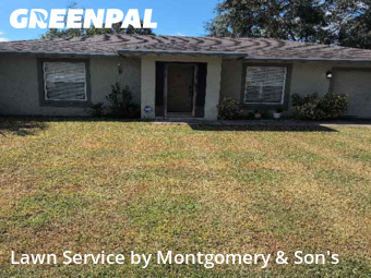 Lawn Mow nearby Lakeland, FL, 