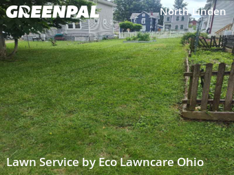 Yard Cutting nearby Columbus, OH, 