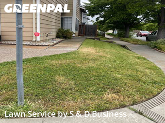 Yard Cutting nearby Fremont, CA, 