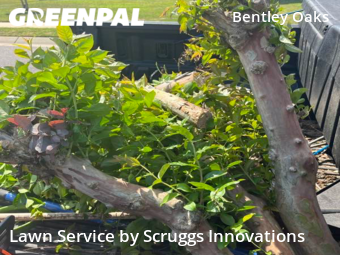 Lawn Maintenance nearby Cantonment, GA, 