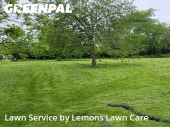 Grass Cut nearby Hamilton, OH, 