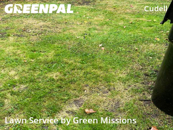 Lawn Mow nearby Cleveland, OH, 