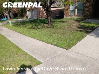 Lawn Mow nearby Roanoke, TX, 