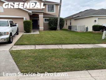 Yard Mowingin Orlando,32837,Lawn Cutting by Pro Lawn, work completed in Nov , 2025