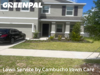 Grass Cutting nearby Wimauma, FL, 