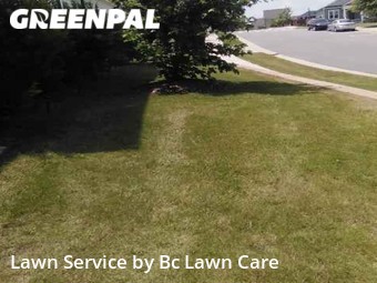 Lawn Service nearby Wendell, NC, 