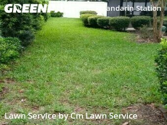 Lawn Care Service nearby Jacksonville, FL, 
