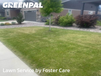 Lawn Servicein Erie,80516,Lawn Cut by Foster Care , work completed in Jan , 2026