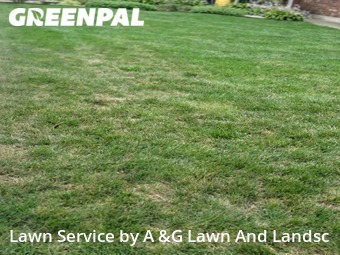 Yard Cutting nearby Cincinnati, OH, 