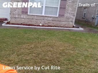 Lawn Maintenance nearby Arlington, AR, 