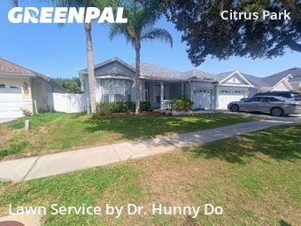 Lawn mowed in Odessa, 33556