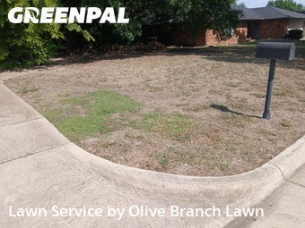 Lawn Carein Keller,76248,Lawn Service by Olive Branch Lawn, work completed in Nov , 2025