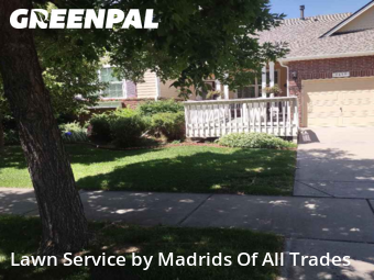 Lawn Mow nearby Timnath, CO, 