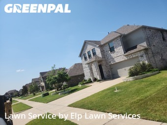 Yard Cutting nearby Forney, TX, 