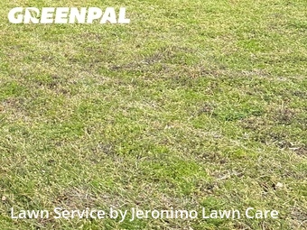 Lawn Servicein Burleson,76028,Lawn Cut by Jeronimo Lawn Care , work completed in Jul , 2026