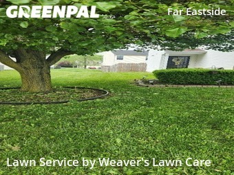 Lawn Mow nearby Indianapolis, IN, 