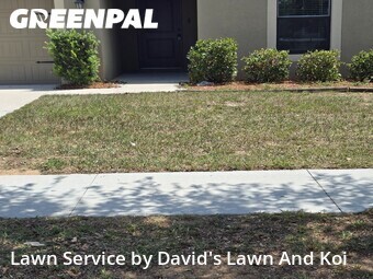 Lawn mowed in Tavares, 32778