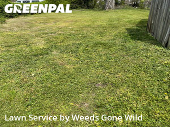 Yard Cutting nearby Richmond, VA, 