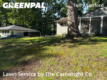 Lawn Cut nearby Fayetteville, NC, 