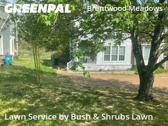 Work completed by local-landscaping-services-in-Brentwood-CA