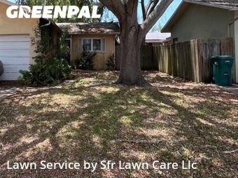 Lawn Servicein Dunedin,34698,Grass Cut by Sfr Lawn Care Llc, work completed in Nov , 2025