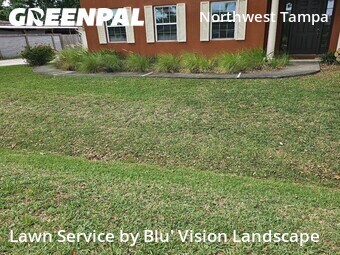 Grass Cut nearby Tampa, FL, 