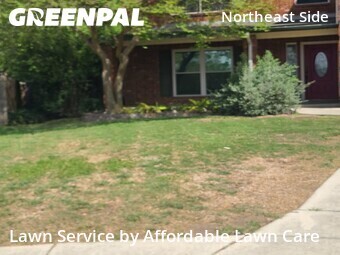 Lawn Service nearby Schertz, TX, 