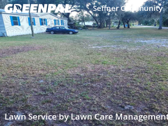 Lawn Mow nearby Seffner, FL, 