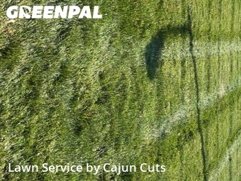Lawn Care Service nearby Walterhill, TN, 